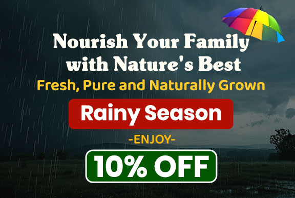 Special Monsoon Savings